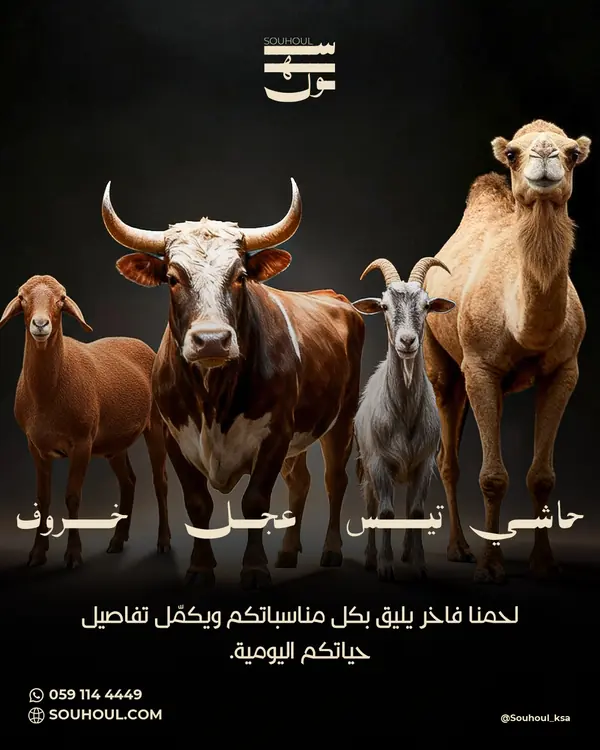 Social: the herd